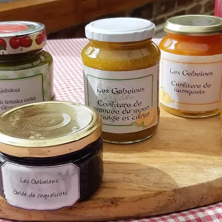 Les Gabelous - D'hotes Avec Petit-dejeuner A Viroinval לינה וארוחת בוקר Dourbes