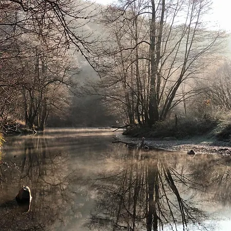 Les Gabelous - D'hotes Avec Petit-dejeuner A Viroinval Отель типа 