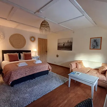 Les Gabelous - D'hotes Avec Petit-dejeuner A Viroinval Dourbes