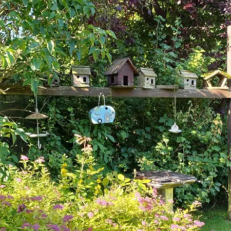 Les Gabelous - D'hotes Avec Petit-dejeuner A Viroinval B&B 3*