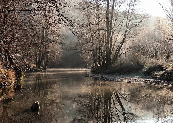 Les Gabelous - D'hotes Avec Petit-dejeuner A Viroinval B&B