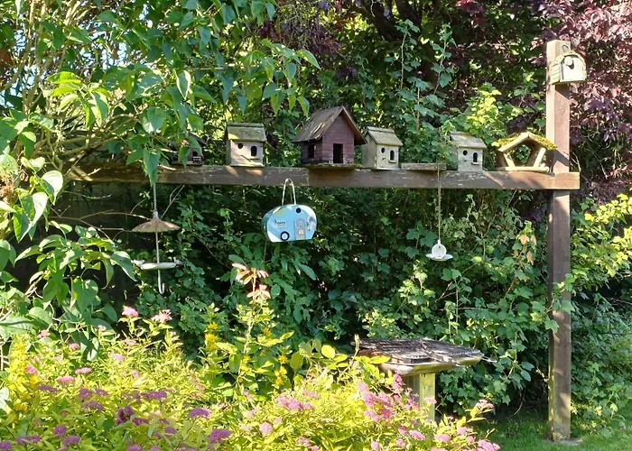 Les Gabelous - D'hotes Avec Petit-dejeuner A Viroinval B&B 3*