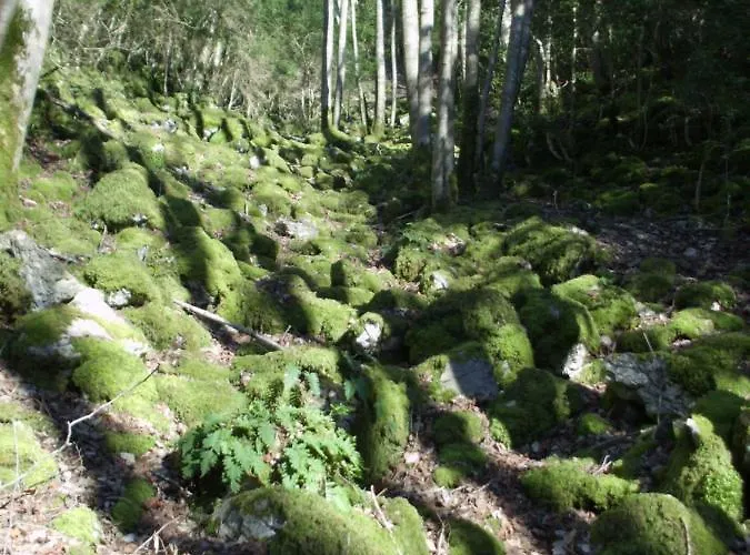 B&B Les Gabelous - D'hotes Avec Petit-dejeuner A Viroinval Dourbes